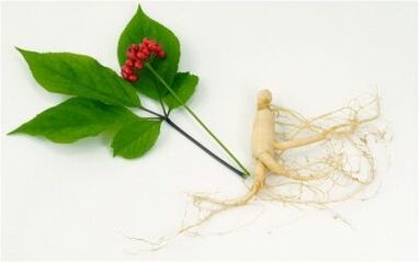 Natural male potency stimulants